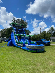 Palmetto Slide