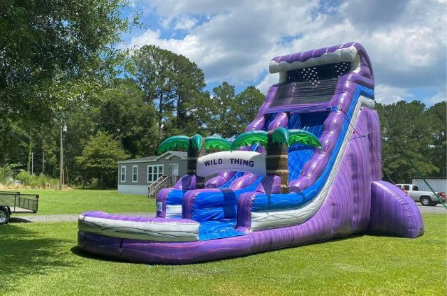 Wild Things Waterslide Rental in Moncks Corner