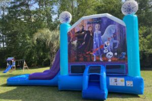 Guide to Bounce Houses for Local Parties
