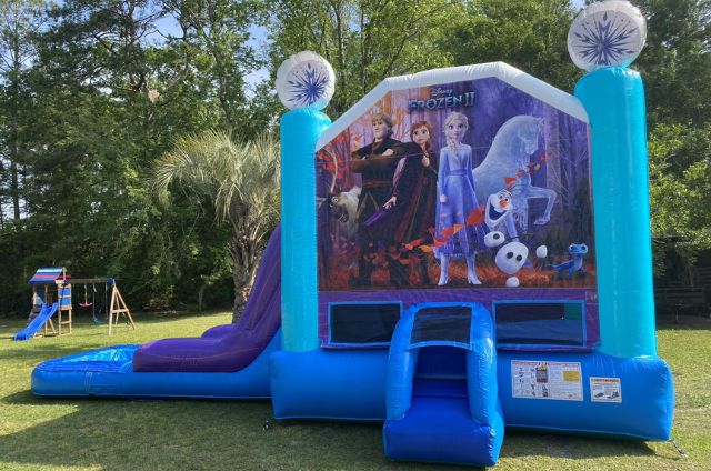Guide to Bounce Houses for Local Parties